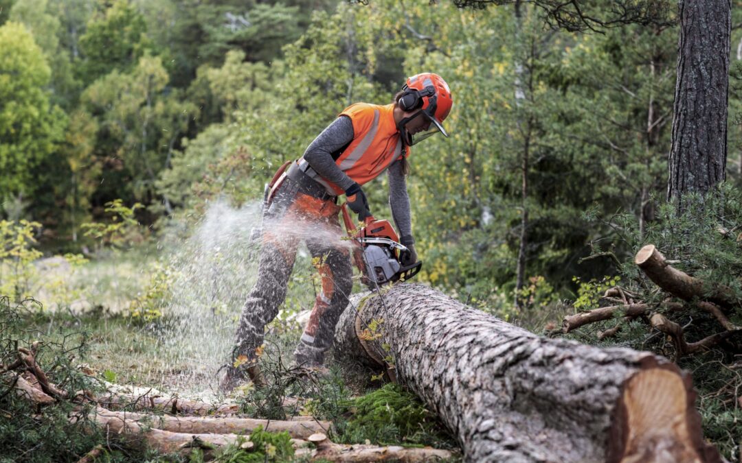 Kuidas valida õige kettsaag?