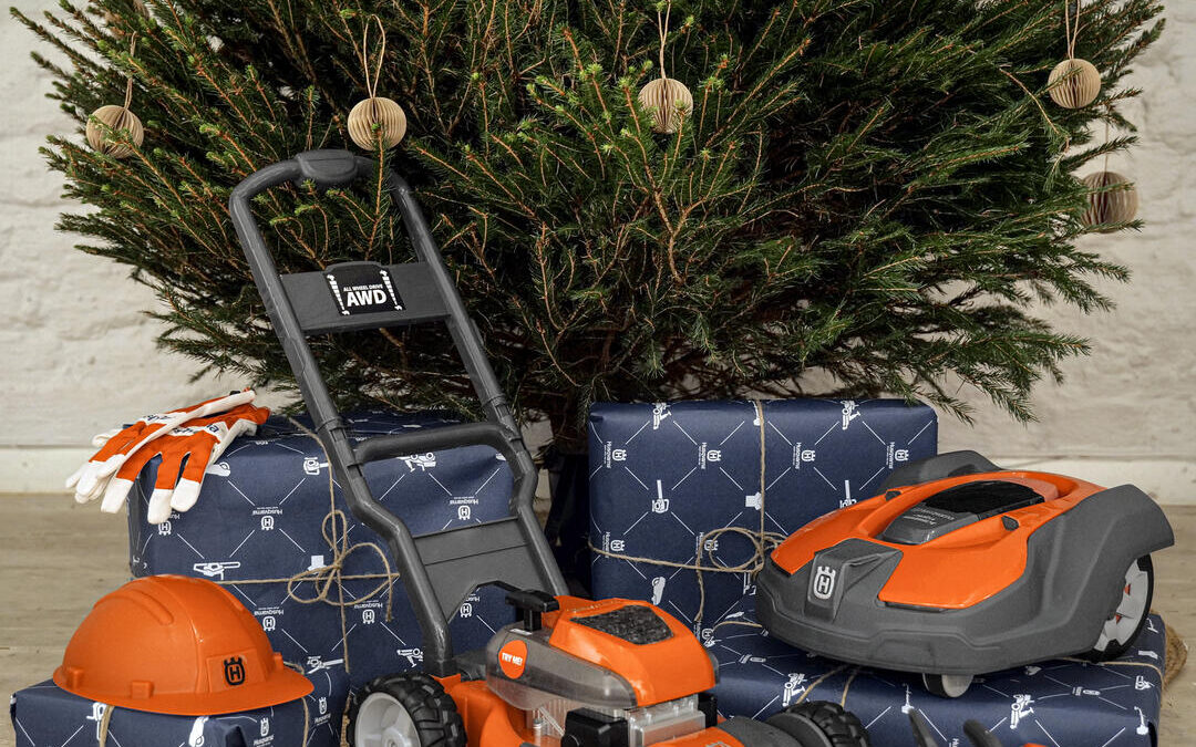 Praktilised ja vahvad jõulukingid Reginetist🎁