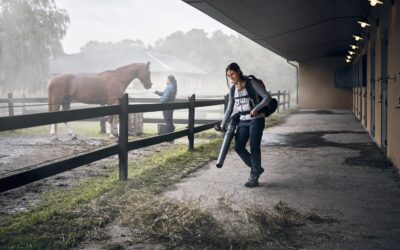6 nutikat ideed lehepuhuri kasutamiseks