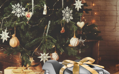 KINGI AEGA! Robotniidukite jõulupakkumine