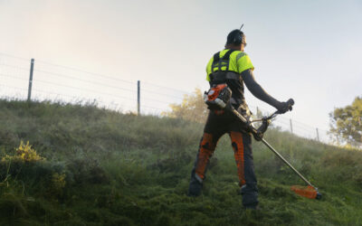 Kuidas valida rohu- ja võsalõikurit?