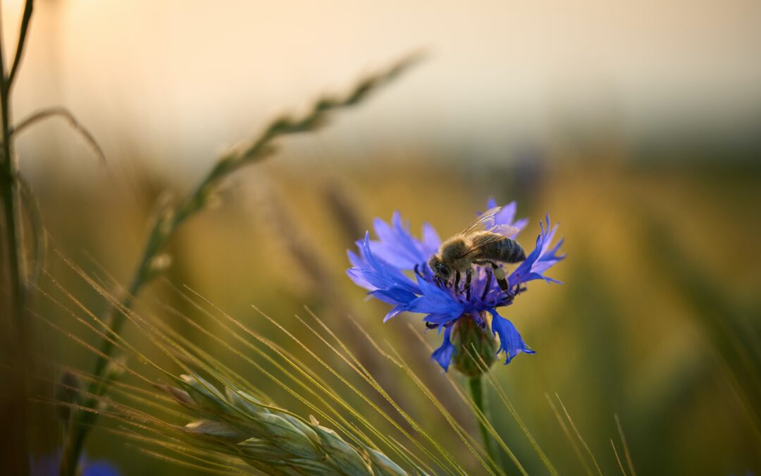 Kaunist saabuvat taasiseseisvumispäeva🇪🇪