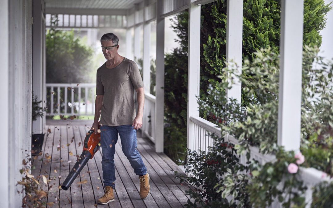 Kuidas valida lehepuhurit?