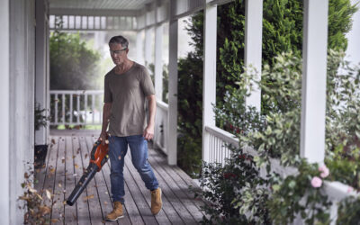 Kuidas valida lehepuhurit?