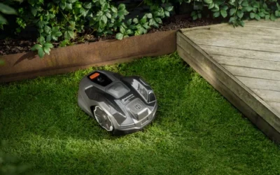 Kuidas robotniiduk ja muru kevadeks valmis seada?