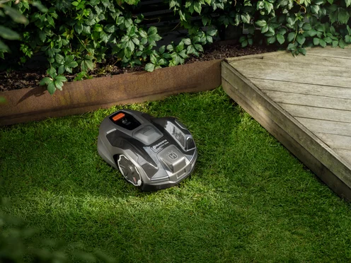 Kuidas robotniiduk ja muru kevadeks valmis seada?