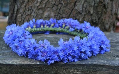 Maagilist jaaniaega!