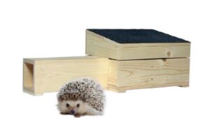 Siilimaja Reginetist