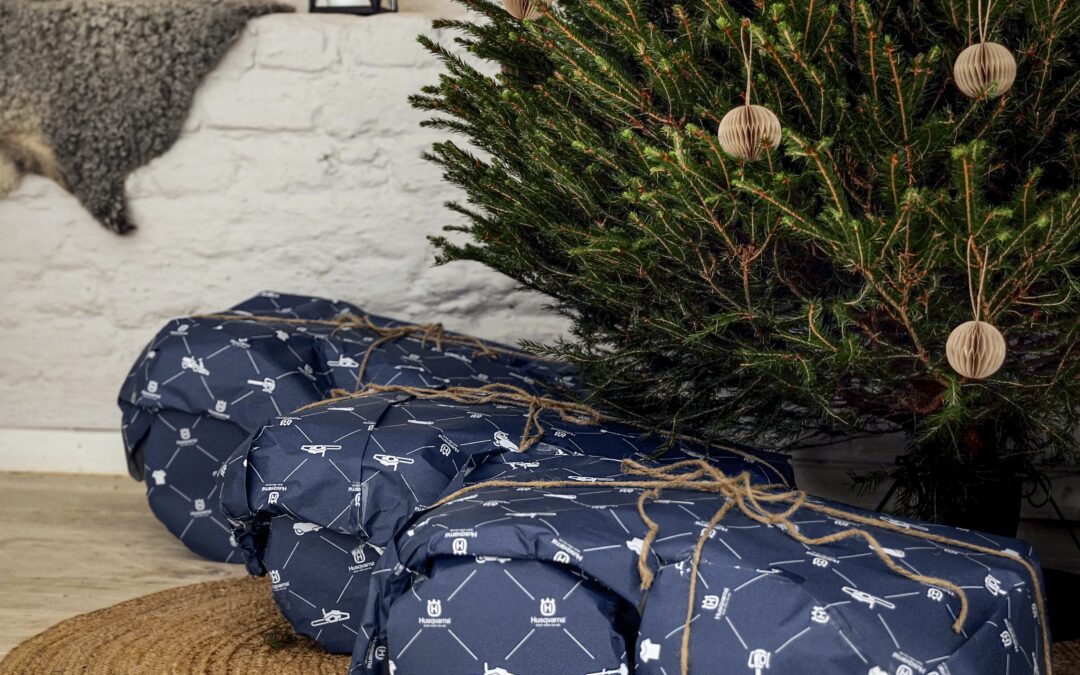 Jõulukingid Reginetist